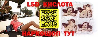 гидра Уссурийск