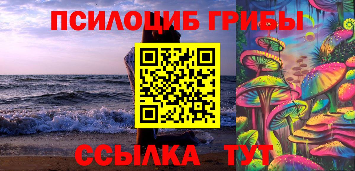 Богданович  Галлюциногенные грибы Psilocybe  Псилоцибиновые грибы MAGIC MUSHROOMS  наркошоп  Вход с VPN 